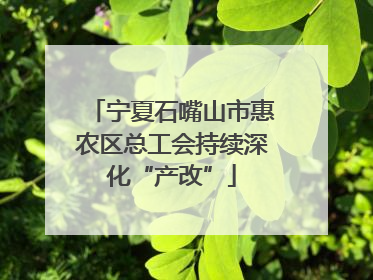 宁夏石嘴山市惠农区总工会持续深化“产改”