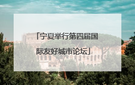 宁夏举行第四届国际友好城市论坛
