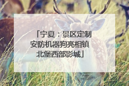 宁夏：景区定制安防机器狗亮相镇北堡西部影城