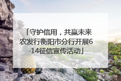 守护信用，共赢未来 农发行衡阳市分行开展6·14征信宣传活动