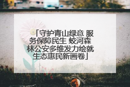 守护青山绿意 服务保障民生 蛟河森林公安多维发力绘就生态惠民新画卷