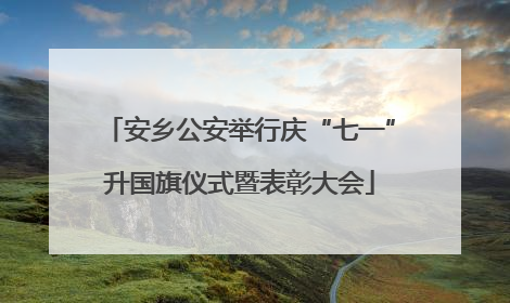 安乡公安举行庆“七一”升国旗仪式暨表彰大会