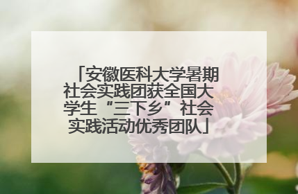 安徽医科大学暑期社会实践团获全国大学生“三下乡”社会实践活动优秀团队
