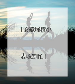 安徽埇桥小麦收割忙