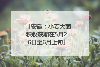 安徽：小麦大面积收获期在5月26日至6月上旬