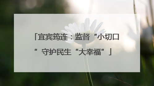 宜宾筠连：监督“小切口”守护民生“大幸福”