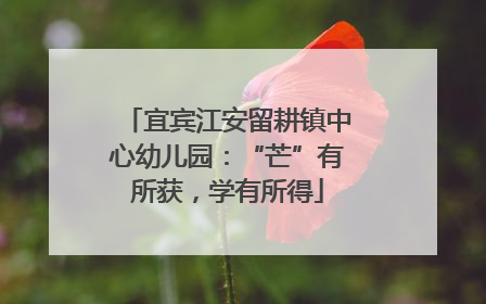 宜宾江安留耕镇中心幼儿园：“芒”有所获，学有所得