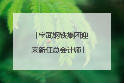 宝武钢铁集团迎来新任总会计师