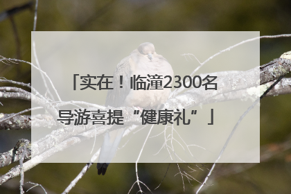 实在！临潼2300名导游喜提“健康礼”