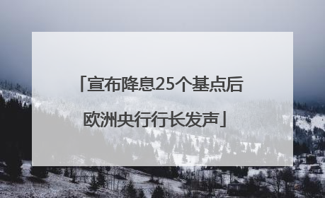 宣布降息25个基点后 欧洲央行行长发声