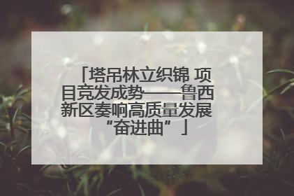 塔吊林立织锦 项目竞发成势——鲁西新区奏响高质量发展“奋进曲”