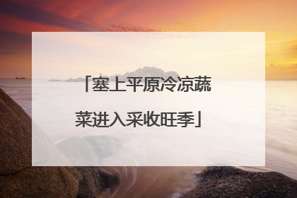 塞上平原冷凉蔬菜进入采收旺季