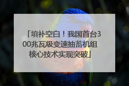 填补空白！我国首台300兆瓦级变速抽蓄机组核心技术实现突破