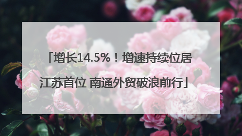增长14.5%！增速持续位居江苏首位 南通外贸破浪前行
