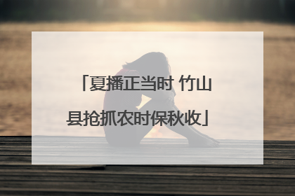 夏播正当时 竹山县抢抓农时保秋收