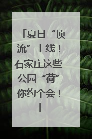 夏日“顶流”上线！石家庄这些公园“荷”你约个会！