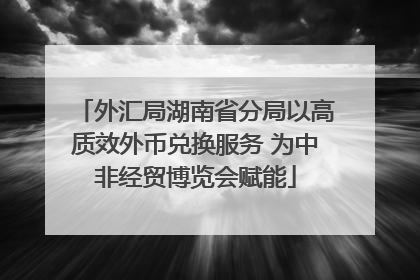 外汇局湖南省分局以高质效外币兑换服务 为中非经贸博览会赋能
