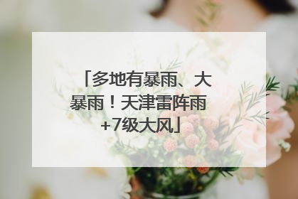 多地有暴雨、大暴雨！天津雷阵雨+7级大风