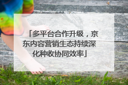 多平台合作升级，京东内容营销生态持续深化种收协同效率