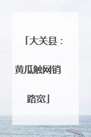 大关县：黄瓜触网销路宽