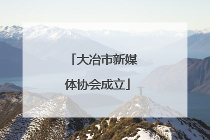 大冶市新媒体协会成立