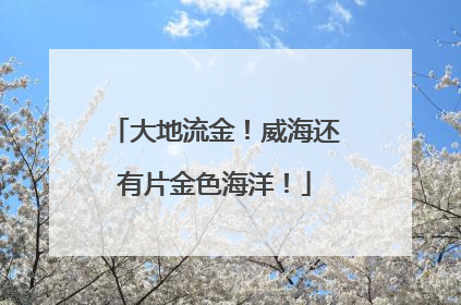 大地流金！威海还有片金色海洋！