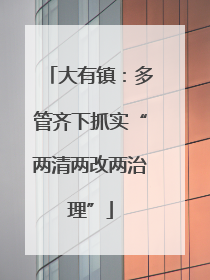 大有镇：多管齐下抓实“两清两改两治理”