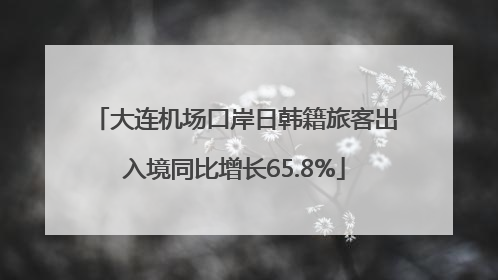 大连机场口岸日韩籍旅客出入境同比增长65.8%