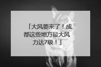 大风要来了！成都这些地方最大风力达7级！