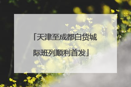 天津至成都白货城际班列顺利首发