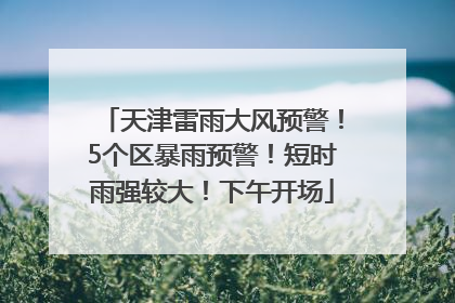 天津雷雨大风预警！5个区暴雨预警！短时雨强较大！下午开场