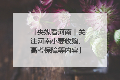 央媒看河南｜关注河南小麦收购、高考保障等内容