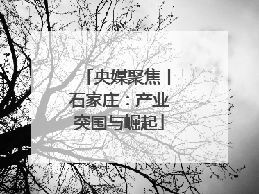 央媒聚焦丨石家庄：产业突围与崛起
