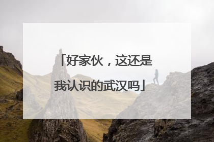 好家伙，这还是我认识的武汉吗