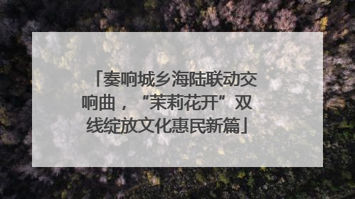 奏响城乡海陆联动交响曲，“茉莉花开”双线绽放文化惠民新篇