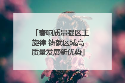 奏响质量强区主旋律 铸就区域高质量发展新优势