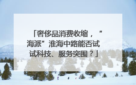 奢侈品消费收缩，“海派”淮海中路能否试试科技、服务突围？