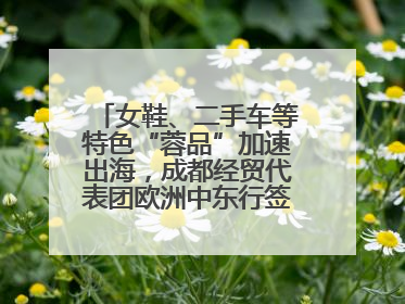 女鞋、二手车等特色“蓉品”加速出海，成都经贸代表团欧洲中东行签单逾3.7亿元