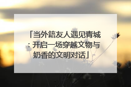 当外籍友人遇见青城：开启一场穿越文物与奶香的文明对话