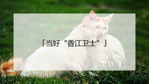 当好“香江卫士”