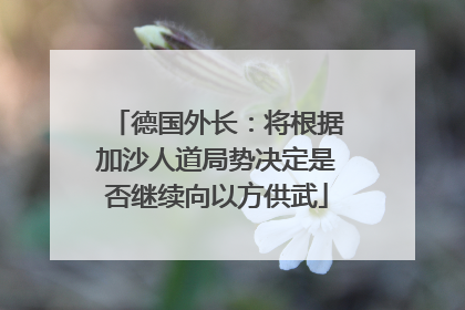 德国外长：将根据加沙人道局势决定是否继续向以方供武