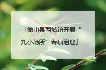 微山县两城镇开展“九小场所”专项治理