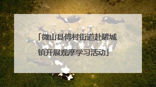微山县傅村街道赴驩城镇开展观摩学习活动