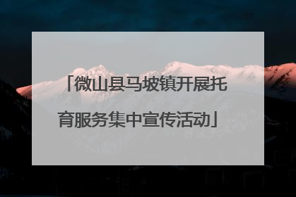 微山县马坡镇开展托育服务集中宣传活动