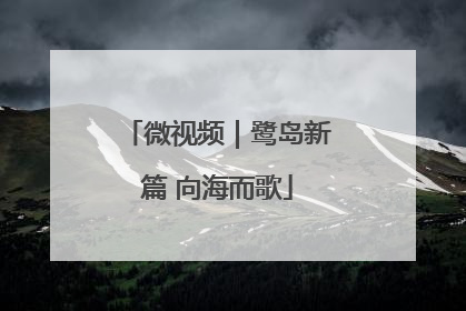 微视频｜鹭岛新篇 向海而歌