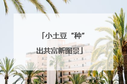 小土豆“种”出共富新图景