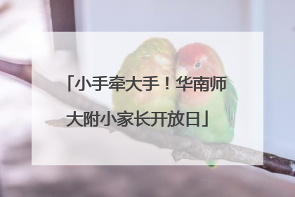小手牵大手！华南师大附小家长开放日