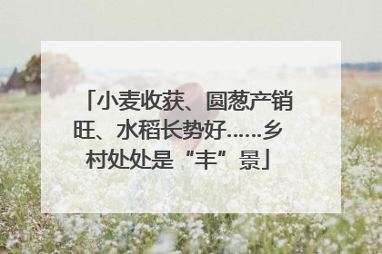 小麦收获、圆葱产销旺、水稻长势好……乡村处处是“丰”景