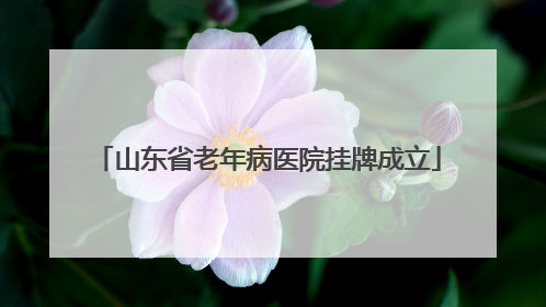 山东省老年病医院挂牌成立