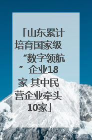 山东累计培育国家级“数字领航”企业18家 其中民营企业牵头10家